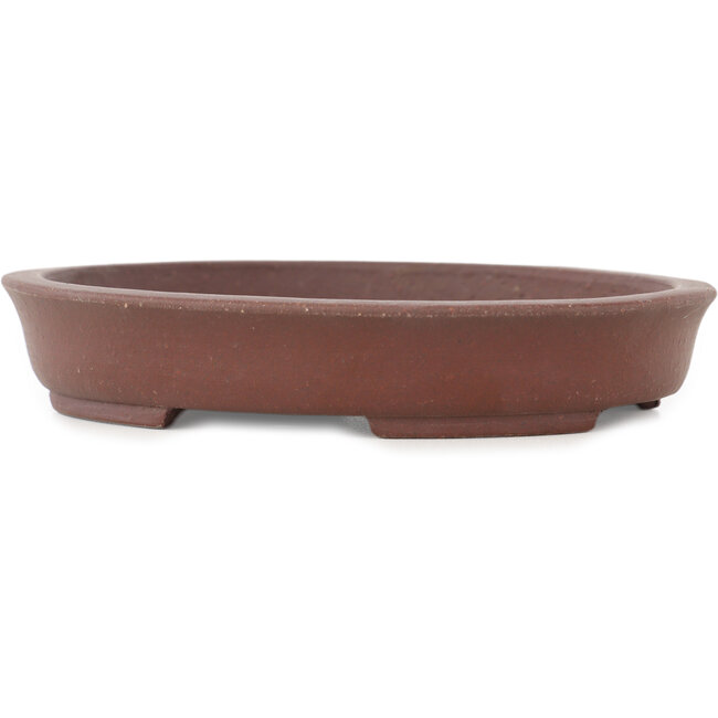 Oval unglazed bonsai pot by Shibakatsu - 128 x 105 x 25 mm