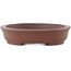 Pot à bonsaï ovale non émaillé de Shibakatsu - 128 x 105 x 25 mm