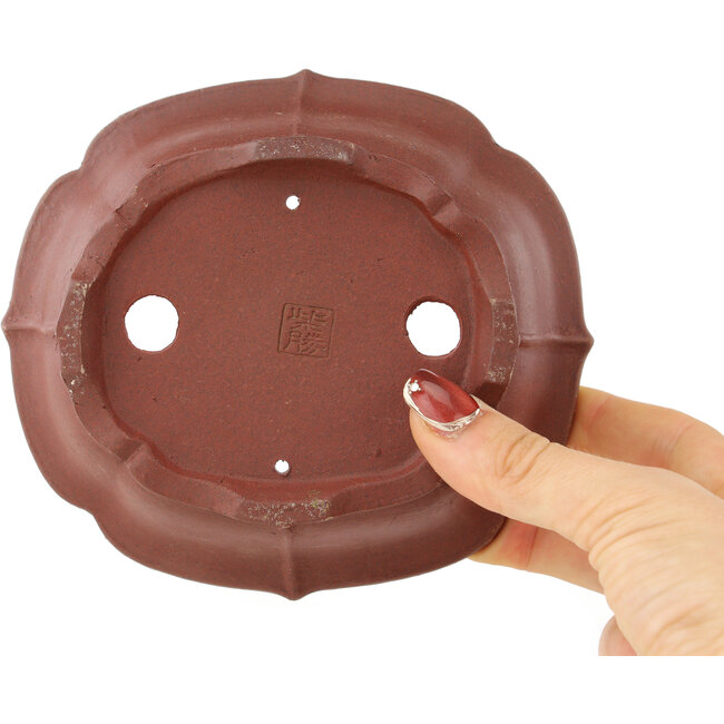 Maceta para bonsái sin esmaltar Mokko de Shibakatsu - 140 x 125 x 50 mm