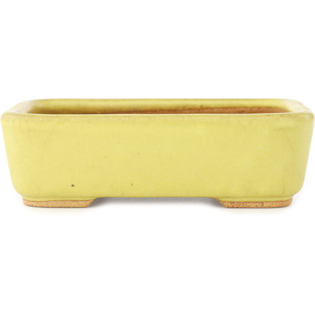 Pot à bonsaï rectangulaire jaune de Hattori - 140 x 105 x 43 mm