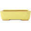 Pot à bonsaï rectangulaire jaune de Hattori - 140 x 105 x 43 mm