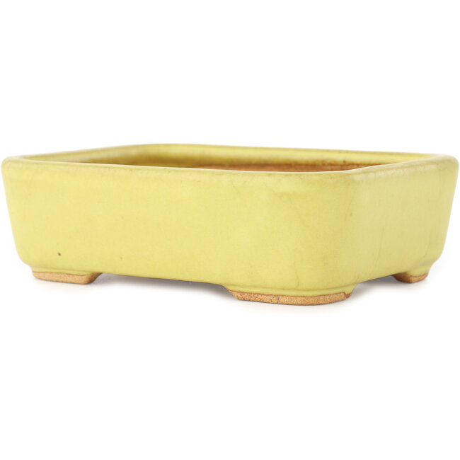 Pot à bonsaï rectangulaire jaune de Hattori - 140 x 105 x 43 mm