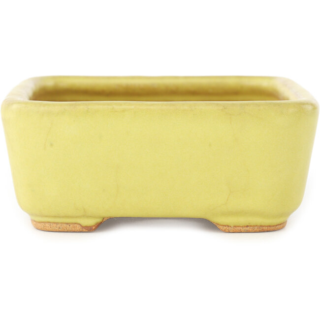 Rectangular yellow bonsai pot by Hattori - 140 x 105 x 43 mm