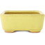 Rectangular yellow bonsai pot by Hattori - 140 x 105 x 43 mm