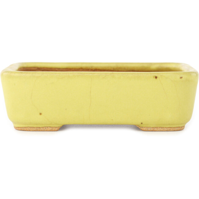 Maceta rectangular amarilla para bonsái de Hattori - 140 x 105 x 43 mm