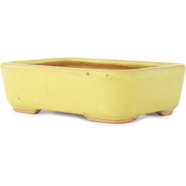 Vaso bonsai rettangolare giallo di Hattori - 140 x 105 x 43 mm