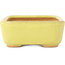 Pot à bonsaï rectangulaire jaune de Hattori - 140 x 105 x 43 mm