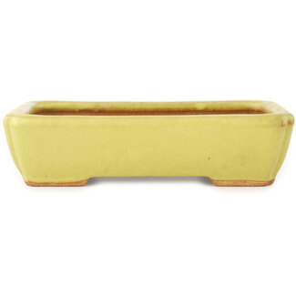  Hattori Tomoyuki 155 mm rectangular yellow bonsai pot by Hattori, Tokoname, Japan