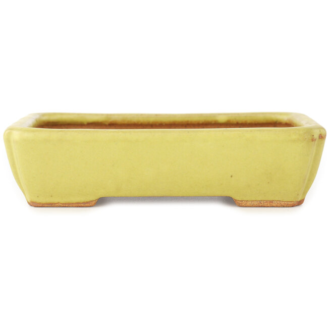Pot à bonsaï rectangulaire jaune par Hattori - 155 x 117 x 38 mm