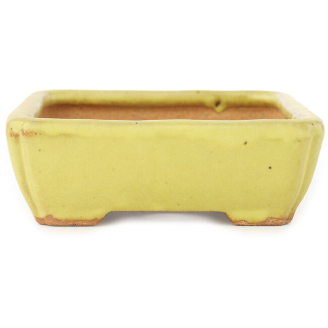 Rectangular yellow bonsai pot by Hattori - 155 x 117 x 38 mm