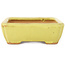 Pot à bonsaï rectangulaire jaune par Hattori - 155 x 117 x 38 mm