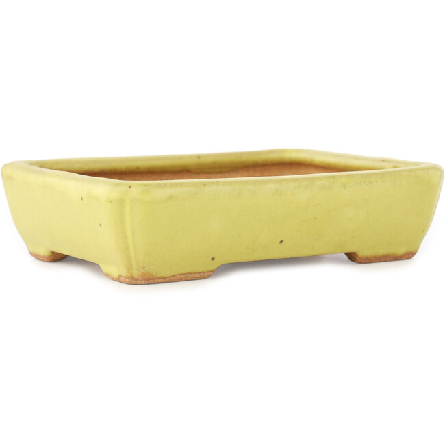 Vaso bonsai rettangolare giallo di Hattori - 155 x 117 x 38 mm