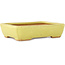 Pot à bonsaï rectangulaire jaune par Hattori - 155 x 117 x 38 mm