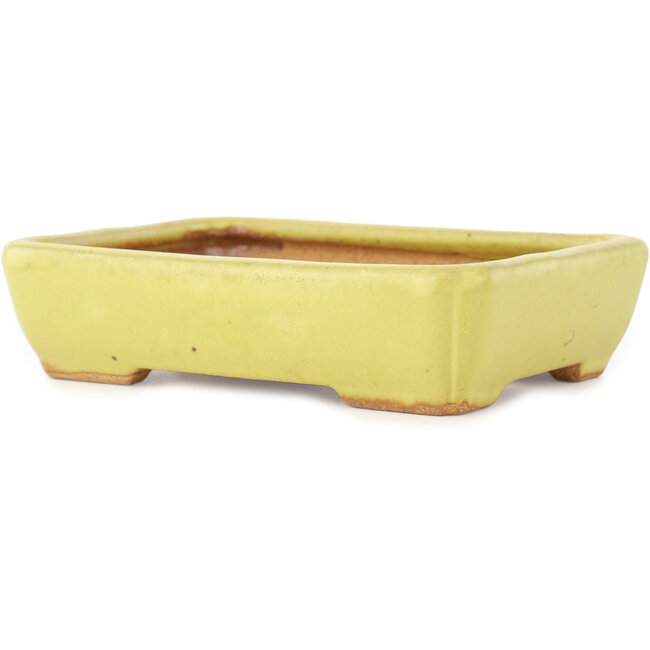 Rectangular yellow bonsai pot by Hattori - 155 x 117 x 38 mm