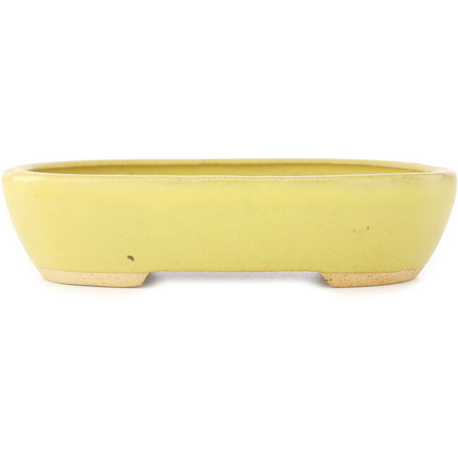Pot à bonsaï ovale jaune de Hattori - 159 x 112 x 38 mm