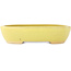 Pot à bonsaï ovale jaune de Hattori - 159 x 112 x 38 mm