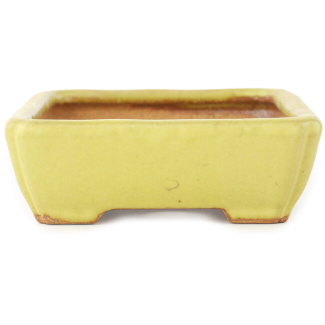Maceta rectangular amarilla para bonsái de Hattori - 155 x 117 x 38 mm