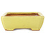 Pot à bonsaï rectangulaire jaune par Hattori - 155 x 117 x 38 mm
