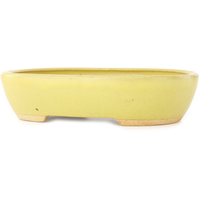 Ovale gele bonsai pot van Hattori - 159 x 112 x 38 mm