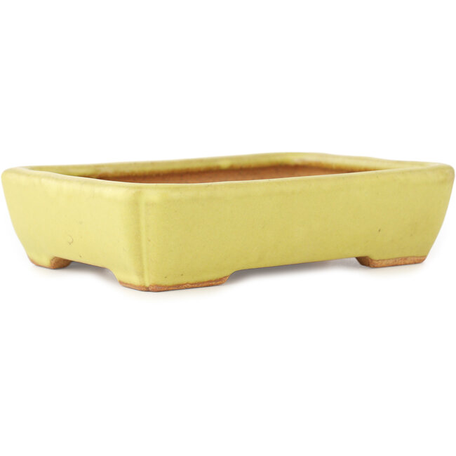 Vaso bonsai rettangolare giallo di Hattori - 155 x 117 x 38 mm