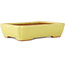 Pot à bonsaï rectangulaire jaune par Hattori - 155 x 117 x 38 mm