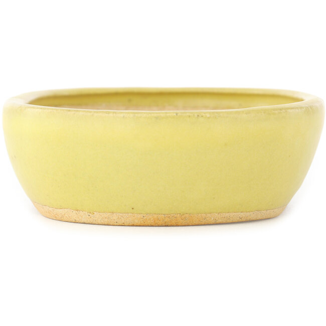 Oval yellow bonsai pot by Hattori - 159 x 112 x 38 mm
