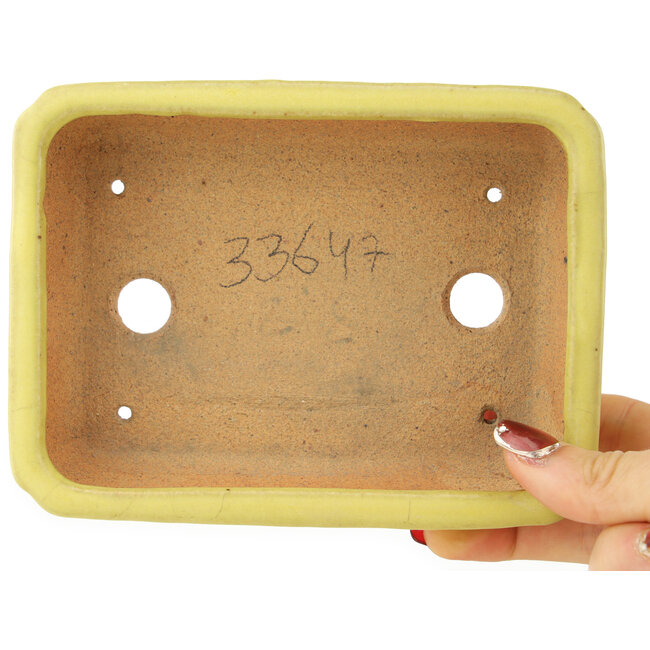 Maceta rectangular amarilla para bonsái de Hattori - 155 x 117 x 38 mm