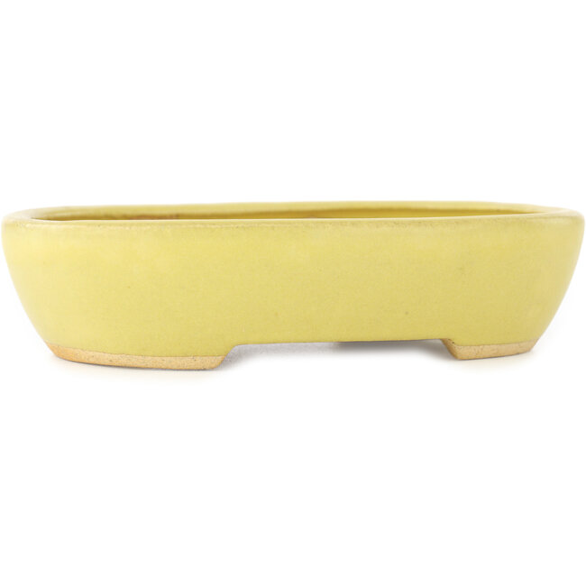 Ovale gele bonsai pot van Hattori - 159 x 112 x 38 mm