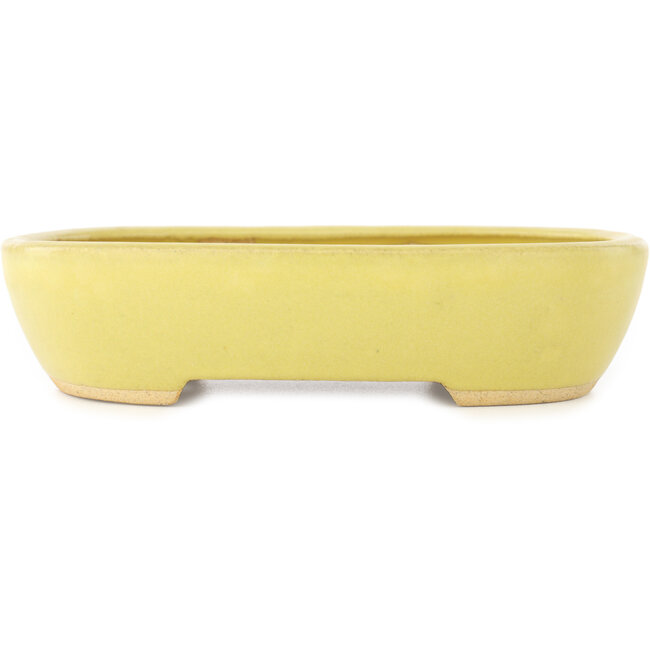 Vaso bonsai ovale giallo di Hattori - 159 x 112 x 38 mm