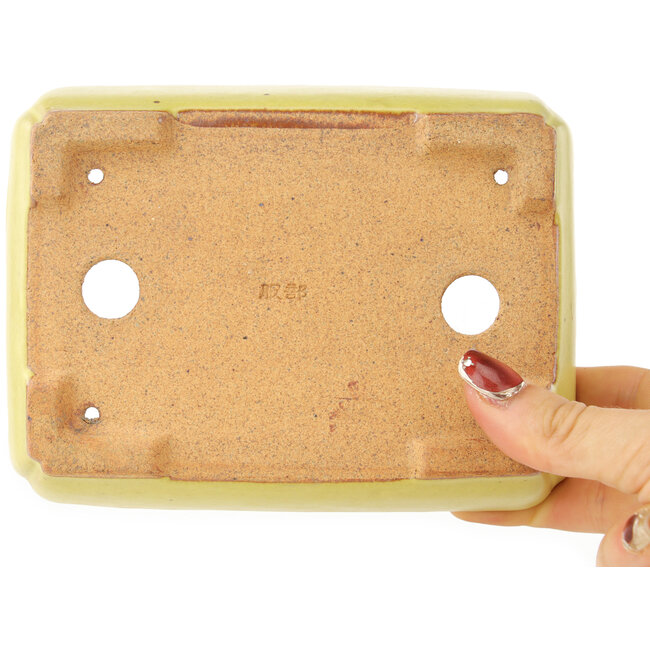 Maceta rectangular amarilla para bonsái de Hattori - 155 x 117 x 38 mm