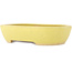 Pot à bonsaï ovale jaune de Hattori - 159 x 112 x 38 mm
