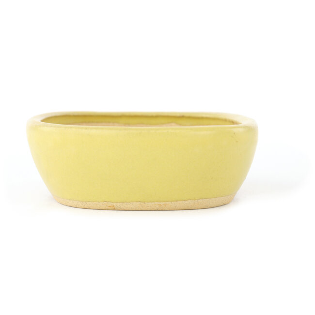 Maceta ovalada amarilla para bonsái de Hattori - 159 x 112 x 38 mm