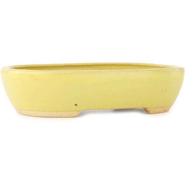 Ovale gele bonsai pot van Hattori - 159 x 112 x 38 mm