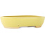 Pot à bonsaï ovale jaune de Hattori - 159 x 112 x 38 mm