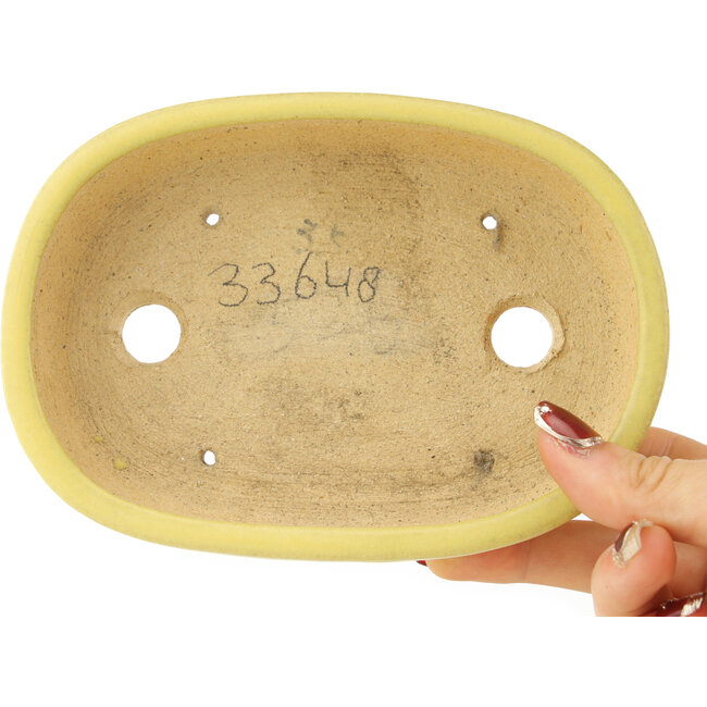 Ovale gele bonsai pot van Hattori - 159 x 112 x 38 mm