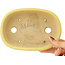 Pot à bonsaï ovale jaune de Hattori - 159 x 112 x 38 mm