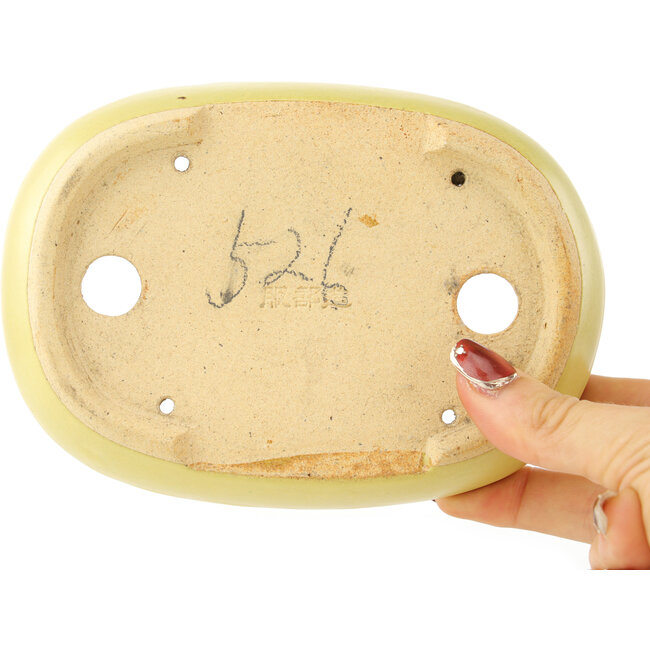 Ovale gele bonsai pot van Hattori - 159 x 112 x 38 mm