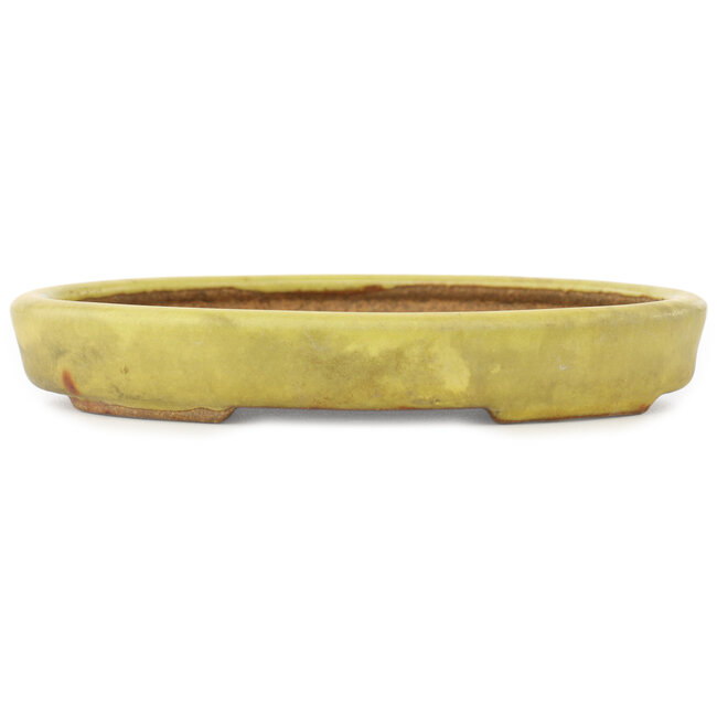 Pot à bonsaï ovale jaune de Hattori - 160 x 123 x 25 mm
