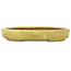 Pot à bonsaï ovale jaune de Hattori - 160 x 123 x 25 mm