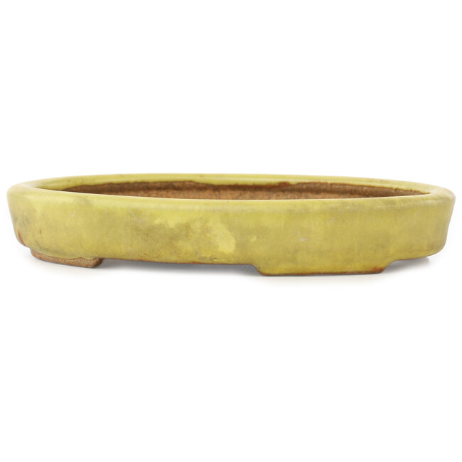 Pot à bonsaï ovale jaune de Hattori - 160 x 123 x 25 mm