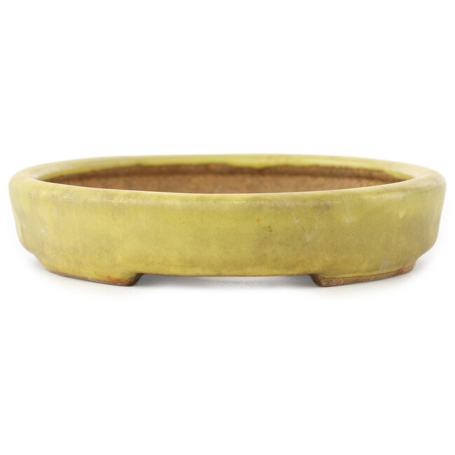 Oval yellow bonsai pot by Hattori - 160 x 123 x 25 mm