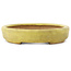 Pot à bonsaï ovale jaune de Hattori - 160 x 123 x 25 mm