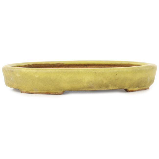 Maceta ovalada amarilla para bonsái de Hattori - 160 x 123 x 25 mm