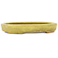 Pot à bonsaï ovale jaune de Hattori - 160 x 123 x 25 mm