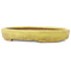Pot à bonsaï ovale jaune de Hattori - 160 x 123 x 25 mm
