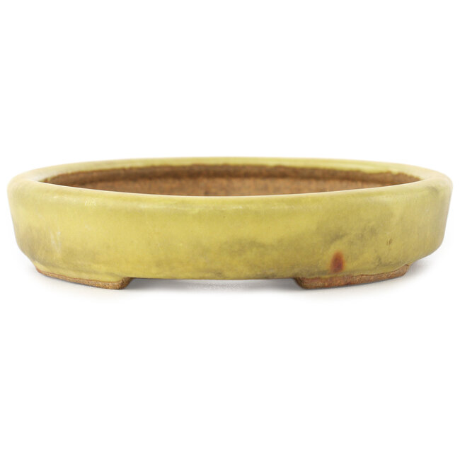 Vaso bonsai ovale giallo di Hattori - 160 x 123 x 25 mm