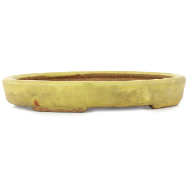 Pot à bonsaï ovale jaune de Hattori - 160 x 123 x 25 mm