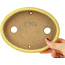 Pot à bonsaï ovale jaune de Hattori - 160 x 123 x 25 mm