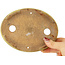 Pot à bonsaï ovale jaune de Hattori - 160 x 123 x 25 mm