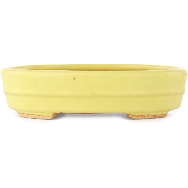 Oval yellow bonsai pot by Hattori - 140 x 110 x 37 mm
